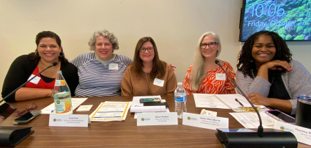 DCDEE Panel