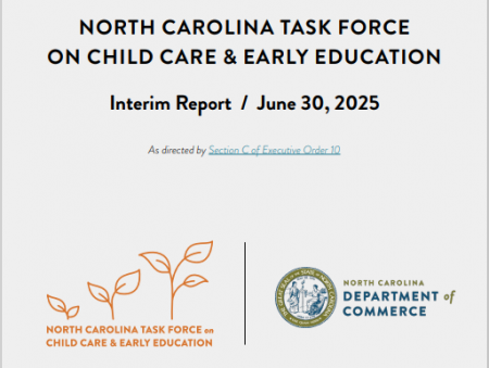 Task Force 2025 Interim Report